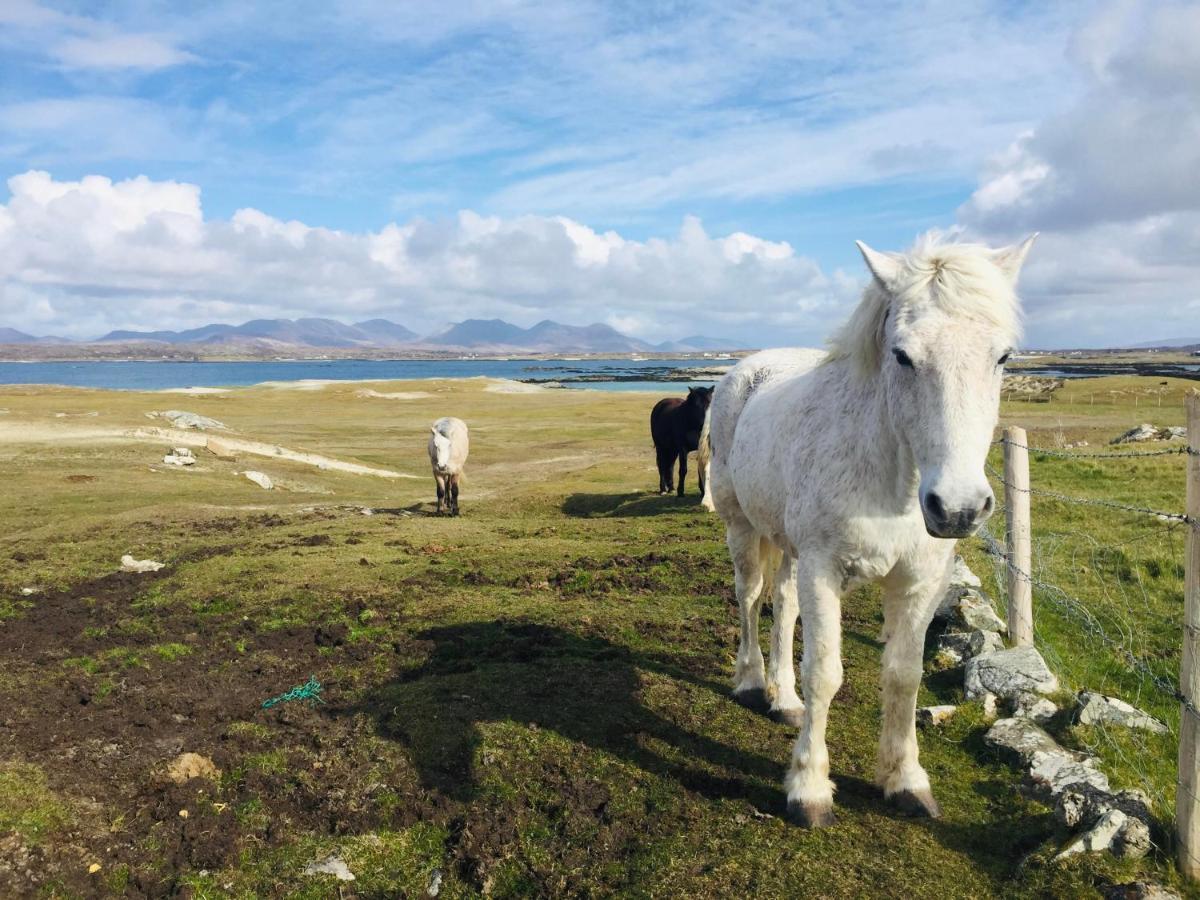 Connemara Sands Hotel&Spa Clifden Buitenkant foto